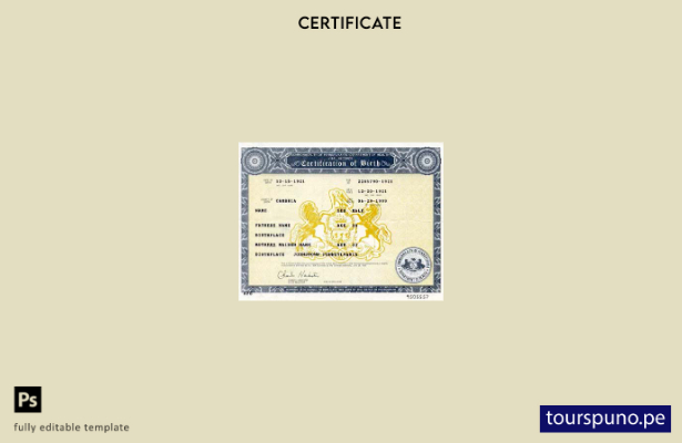 listo para imprimir plantilla de certificado de nacimiento de la Commonwealth  1